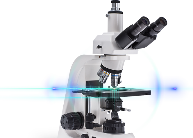 Microscope